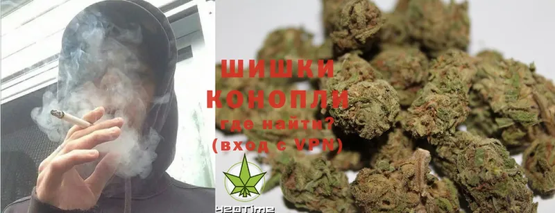 как найти   Кисловодск  Марихуана OG Kush 